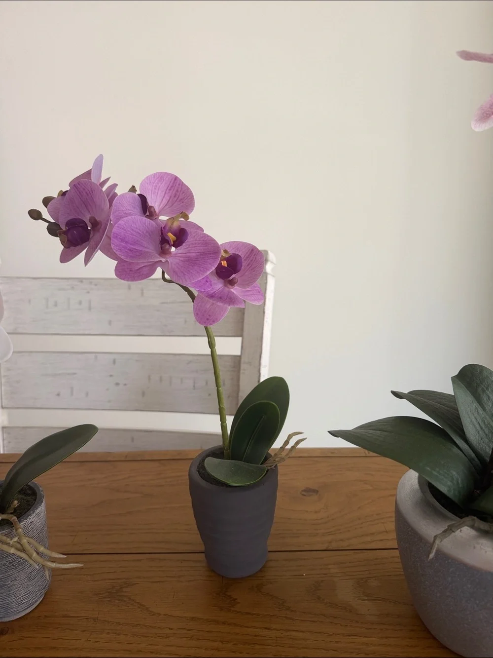 Artificial Phalaenopsis Orchid Arrangement - Pink/Purple
